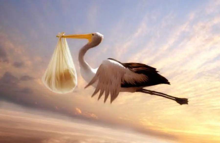 Poco prolifiche, ultra quarantenni e non sposate: il ritratto delle neomamme italiane secondo l’Istat