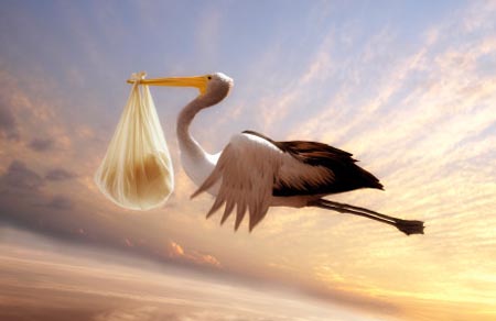 Poco prolifiche, ultra quarantenni e non sposate: il ritratto delle neomamme italiane secondo l’Istat