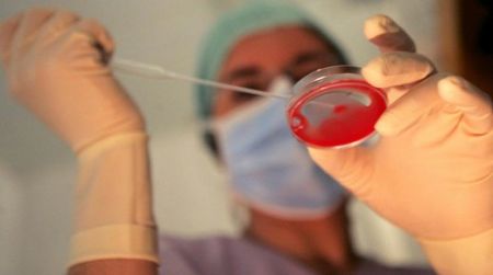 Madre surrogata per i nipotini di Bin Laden