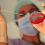 Madre surrogata per i nipotini di Bin Laden