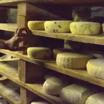 Formaggi pastorizzati in gravidanza: guida pratica