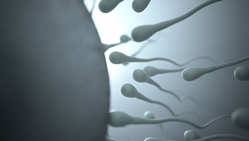 Rimanere incinta: difficoltà e consigli