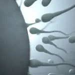 Rimanere incinta: difficoltà e consigli