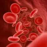 Vene varicose: cosa sono e come curarle