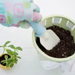 Mamme e Giardinaggio: Come creare angoli magici nel giardino con vasi stilosi