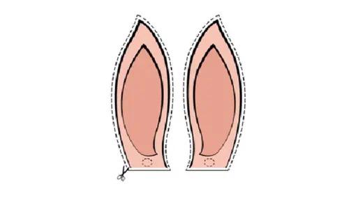 Lavoretti: le orecchie da coniglio