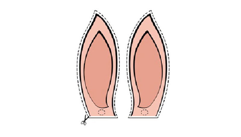 Lavoretti: le orecchie da coniglio