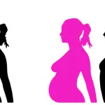 Calcolo della gravidanza: come datare la gravidanza dal concepimento al parto