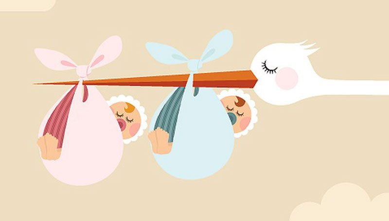 Concepire un maschio o una femmina: lo dice l’albero genealogico del papà