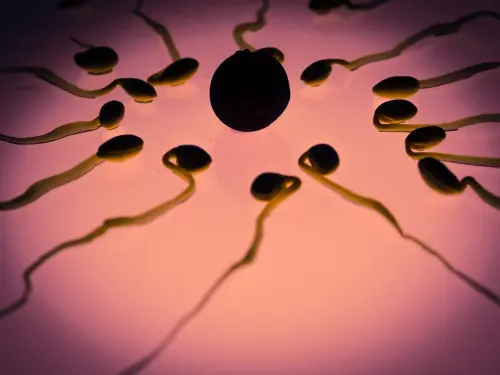 La fertilità maschile e femminile