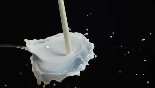 Latte dopo i 12 mesi, quale scegliere?