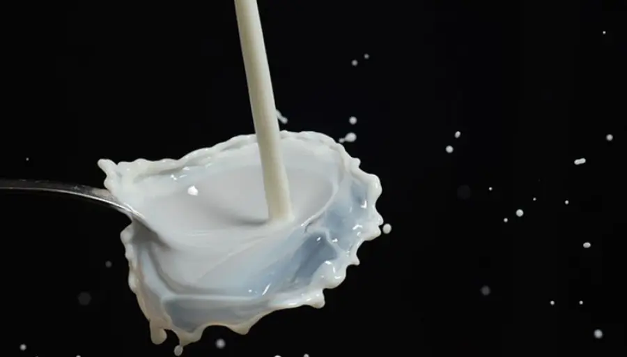 Latte dopo i 12 mesi, quale scegliere?