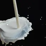 Latte dopo i 12 mesi, quale scegliere?