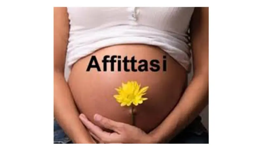 Madre surrogata: tutto ciò che c’è da sapere