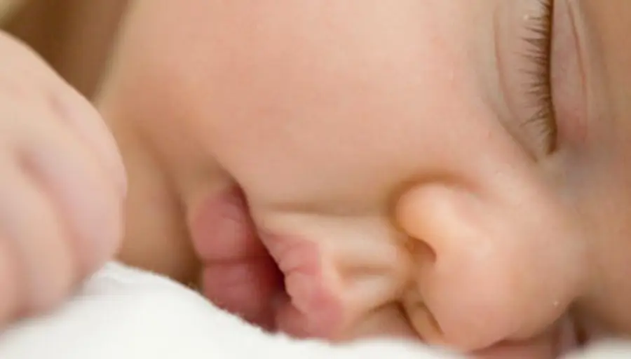 Chi dorme…diventa intelligente!