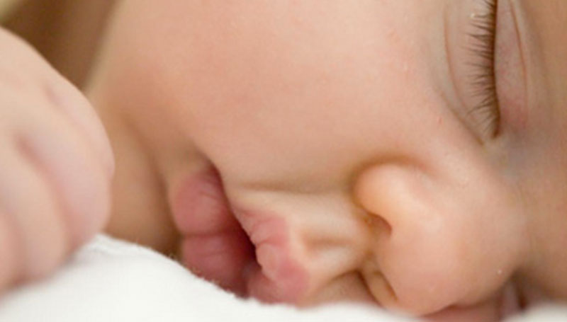 Chi dorme…diventa intelligente!