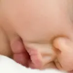 Chi dorme…diventa intelligente!