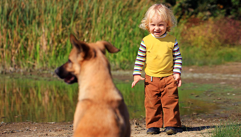 Crescere con cani e gatti riduce il rischio allergie