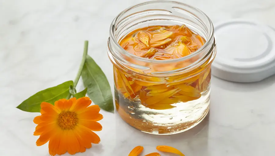 La Calendula: valido alleato per le pelli sensibili di mamme e bambini