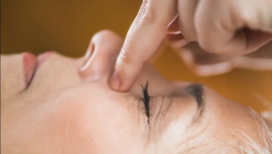 Ayurveda: un approccio critico