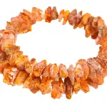 L'ambra e la dentizione