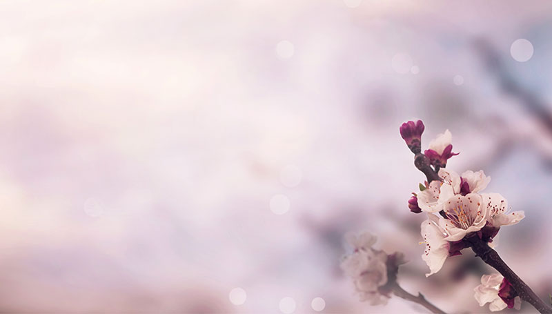 Mamma Elisa: A proposito di depressione post partum