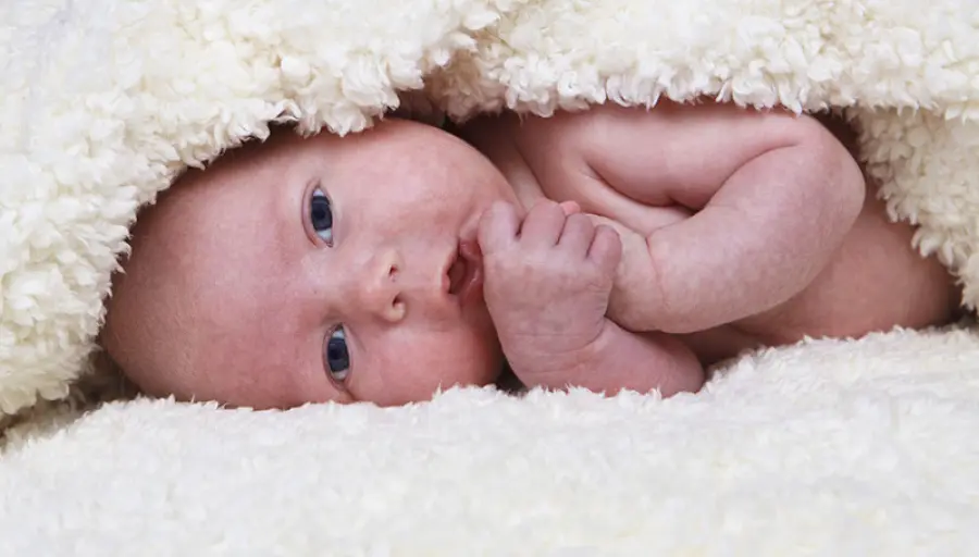 Le “fontanelle” dei neonati