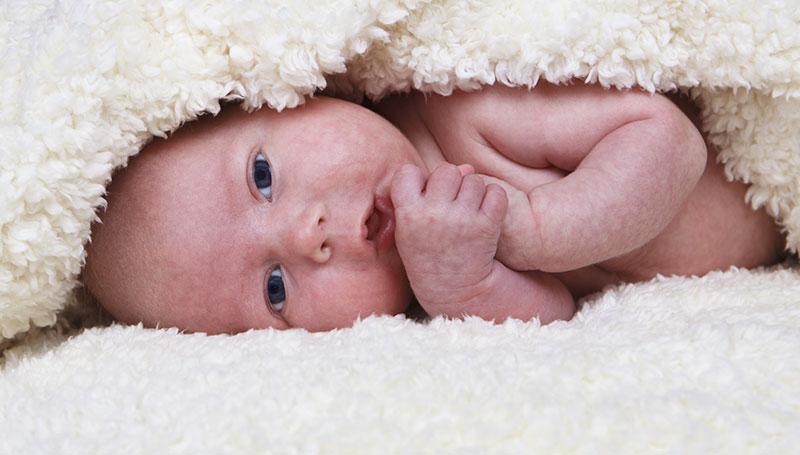 Le “fontanelle” dei neonati