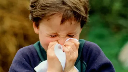 Bambini allergici a rischio asocialità?