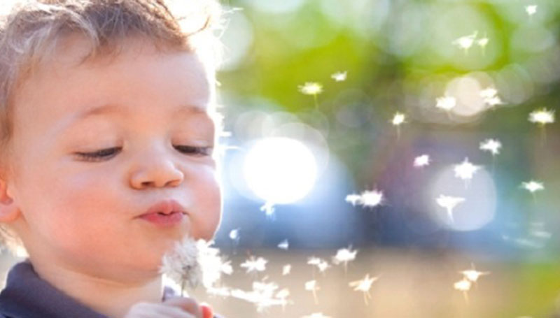 Allergie: ambulatorio Sos Pollini all’ospedale Bambino Gesù