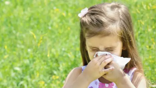 Primavera e allergie, che fare?