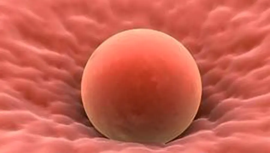 Rimane incinta grazie ad un autotrapianto di tessuto ovarico: la storia di Alessandra