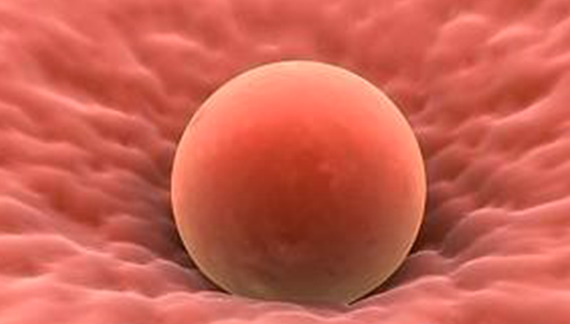 Rimane incinta grazie ad un autotrapianto di tessuto ovarico: la storia di Alessandra