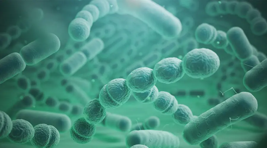 Metodo Stamina: cos’è?