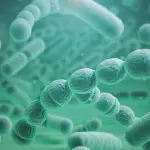 Metodo Stamina: cos’è?