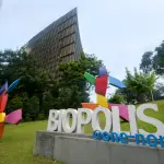 Amniocentesi addio, arriva un test del sangue