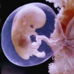 Gravidanza: amniocentesi addio?