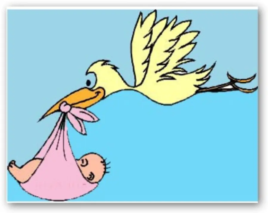 Gli esami da fare prima del concepimento