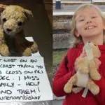 Orsetto smarrito torna a casa grazie a Twitter