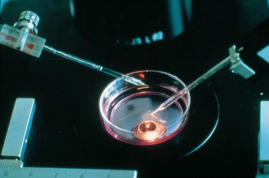 Anche in Italia è legale la fecondazione eterologa