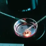 Anche in Italia è legale la fecondazione eterologa