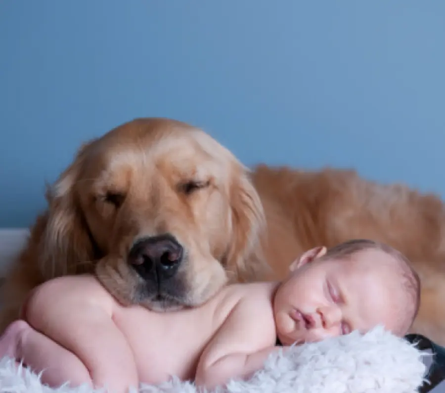 Il miglior amico di tuo figlio è un cane?