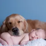 Il miglior amico di tuo figlio è un cane?