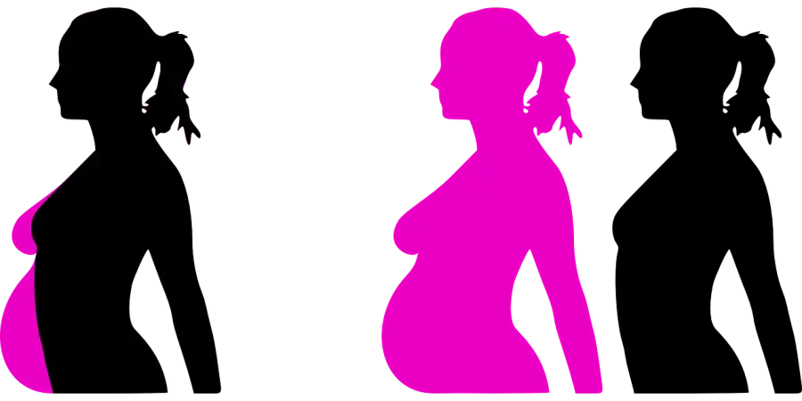 Ovulazione: Come sapere quando avviene?