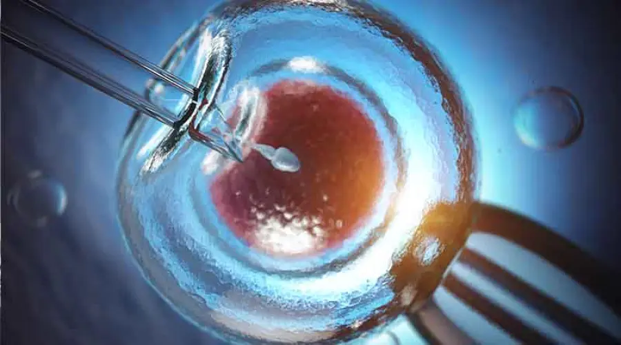 Diario di Gianna: Io e la mia compagna abbiamo deciso per l’autoinseminazione