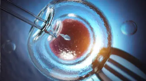 Diario di Gianna: Io e la mia compagna abbiamo deciso per l’autoinseminazione