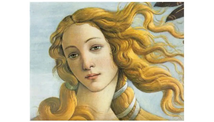 Lo strabismo di venere