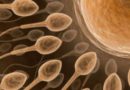 Variante genetica possibile causa dell’infertilità femminile